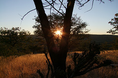 Sunrise auf Camp Aussicht