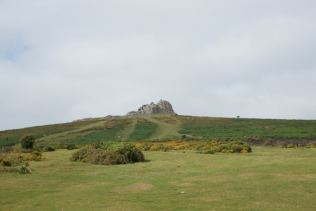 Looking Up To Hay Tor