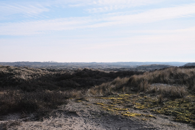 Langevelderslag