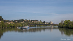 Auf der Rhone bei Avignon