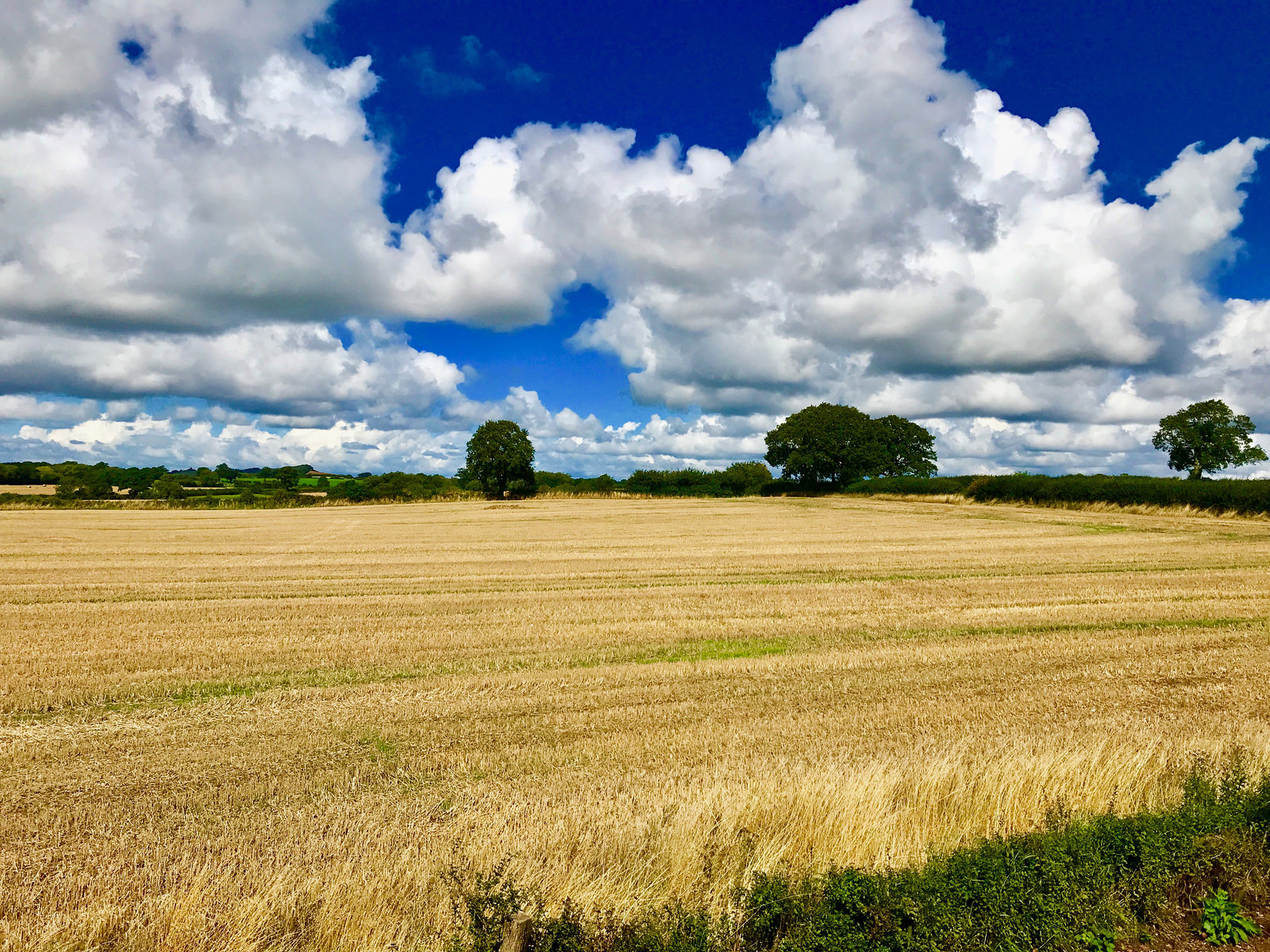 Gnosall clouds