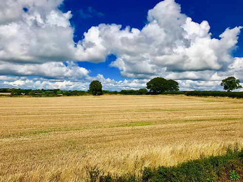 Gnosall clouds