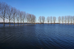 Flood 7 januari 11:00. Water still rising