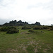 Looking Up To Hound Tor