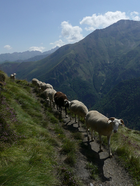 20210822 -0906 Ariège (294)