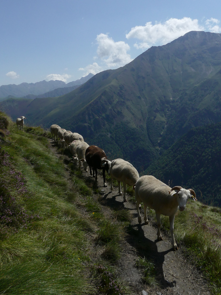 20210822 -0906 Ariège (294)