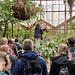 Waiting to photograph the West-Java Amorphophallus