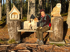 On the Carrbridge Drochan Loop