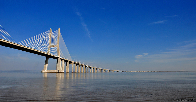 Ponte Vasco da Gama / Vasco-da-Gama-Brücke: Schrägseilbrücke mit einer Gesamtlänge von 17.2km (© Buelipix)