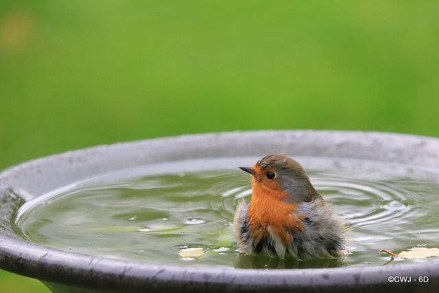 Having a bath on a cold winter afternoon can't be much fun...