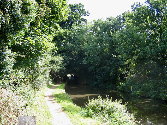 Staffs and Worcs Canal at Cookley