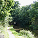 Staffs and Worcs Canal at Cookley