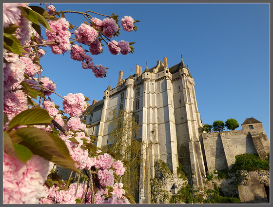 Vivement le Printemps ! - Château de Châteaudun