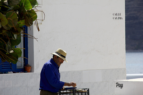 Manos sabias.