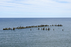 Ostsee bei Heringsdorf