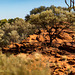 Mereenie Loop - Australian Colours