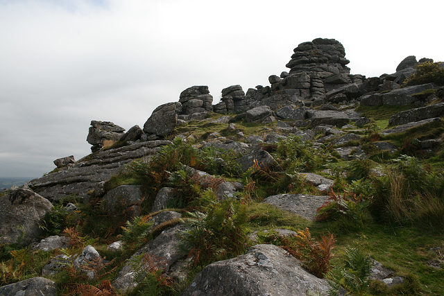 Hound Tor