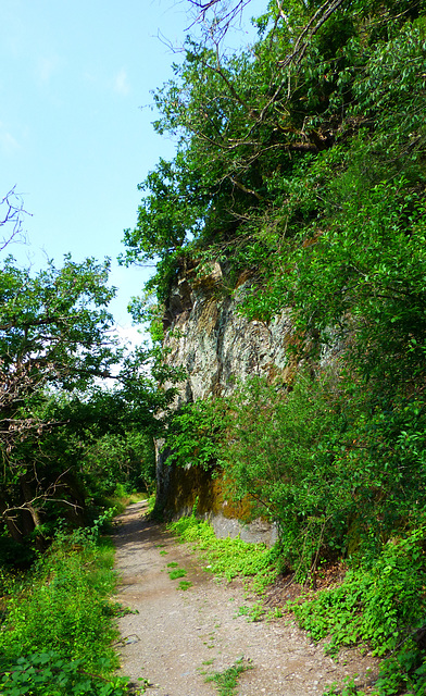 DE - Roes - Traumpfad Pyrmonter Felsensteig