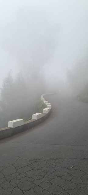 Mountai fog