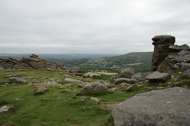 View From Hound Tor