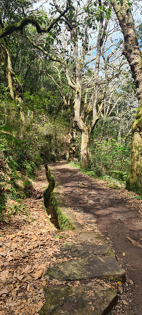 Levada dos Balcões