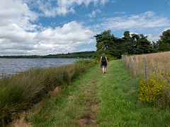 34 Lac de Vassivière