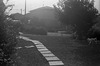 Garden next door