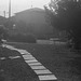 Garden next door