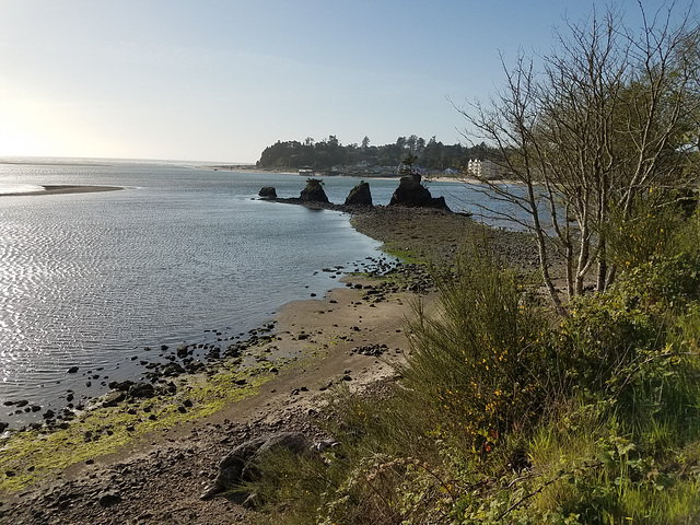 Siletz Bay