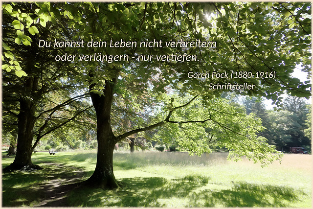 im Park (Quote)