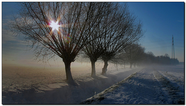 "Schneeweiden"