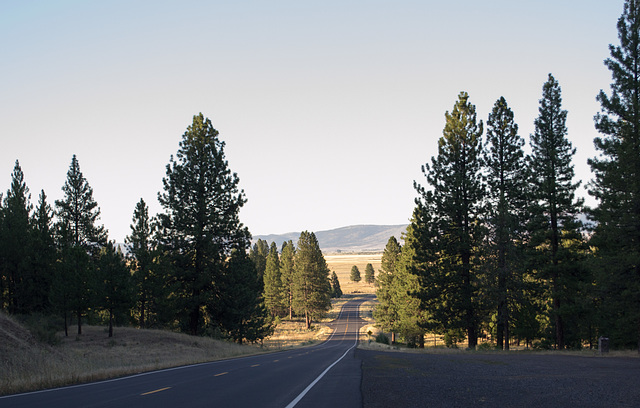 Nubieber CA  CA-299 (#0076)