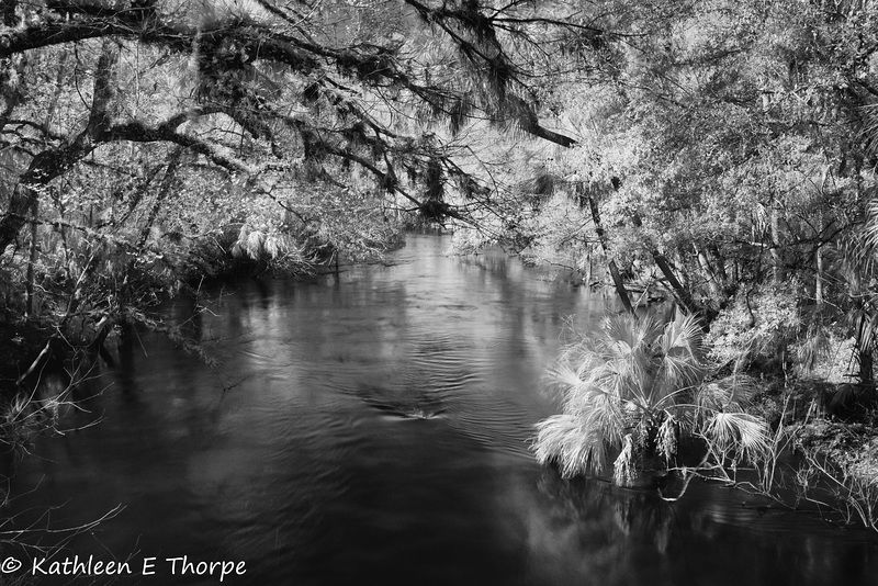 Hillsborough River State Park 007