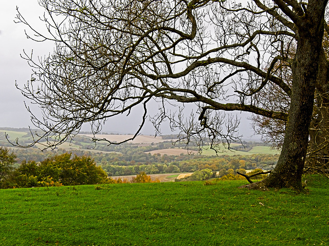 A View From The Top Of Old Winchester Hill