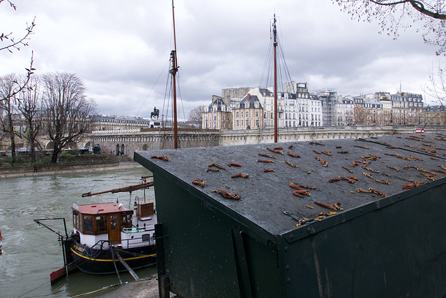 Paris March 2018