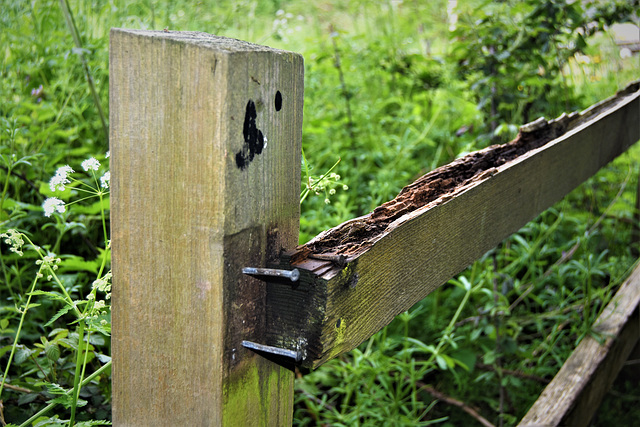 Broken Fence Broken Fence