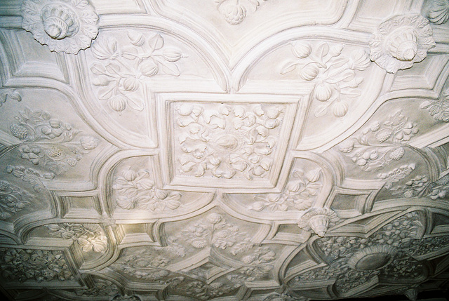 Detail of Ceiling, Seventeenth Century House at Great Yarmouth, Norfolk