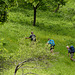 20160611 -18 Rando Meribel Les allues Jour4 Meribel Grand Lac (95)