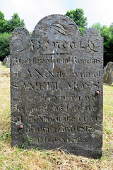 lanteglos by fowey church, cornwall (39)