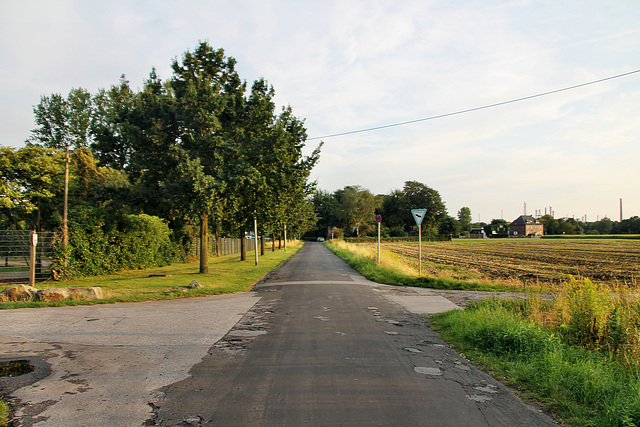 Theodor-Otte-Straße (Gelsenkirchen-Beckhausen) / 18.08.2019