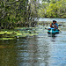 New River un paradiso in Belize