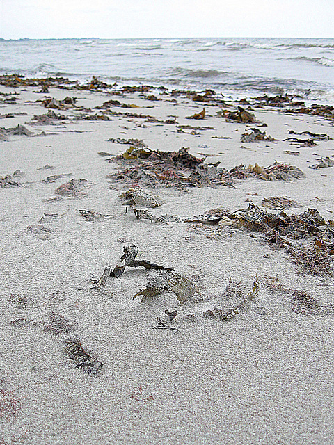 Ein bisschen Escher am Strand