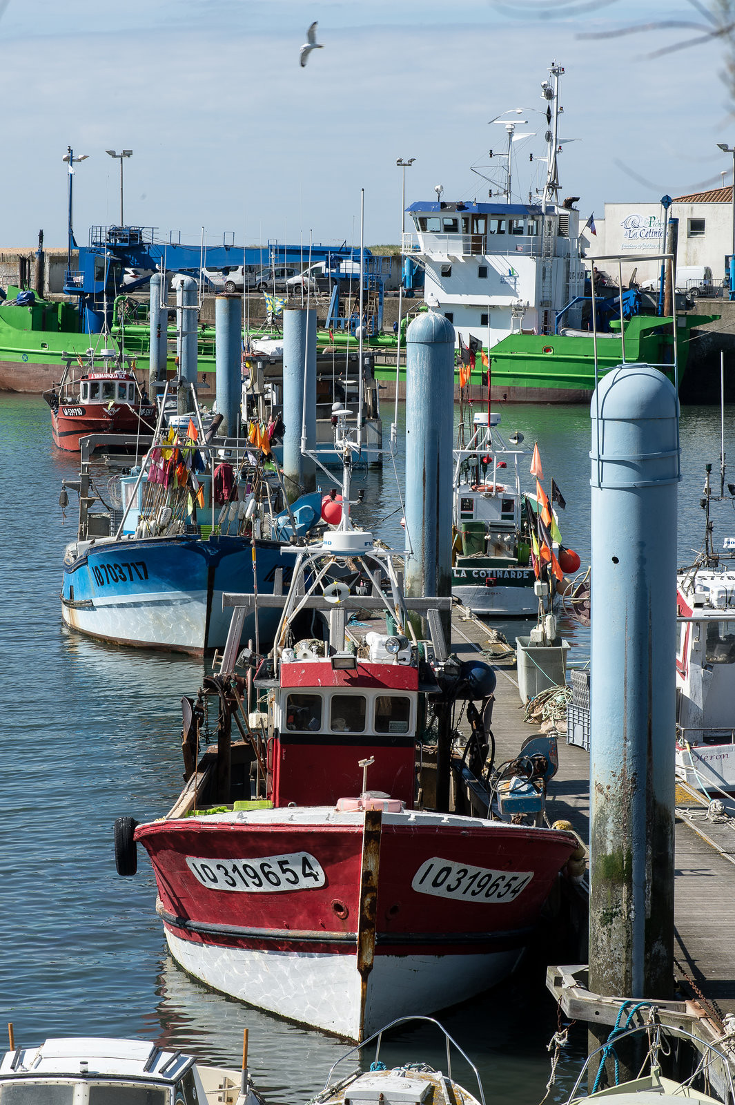 La Cotinière, Fischerei-Hafen - 2016-04-25_D4  DSC6602