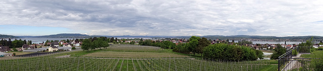 Hochwart-Panorama 150°