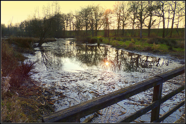 Beaver Area