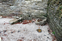 bodmin church, cornwall (90)