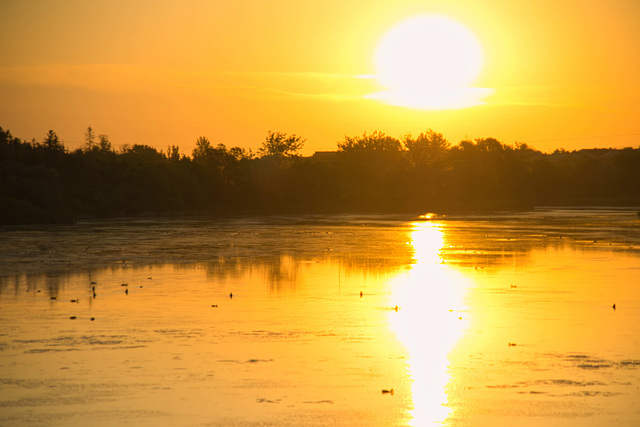 Wascana Lake - sunrise reflected 3