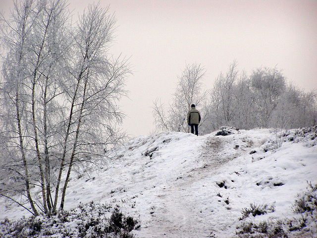 One   man  on the hill