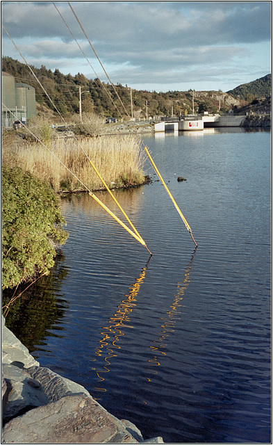 Bottom of the lake