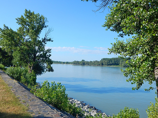 Vác, Duna